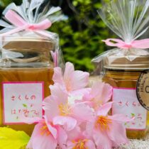 新さくらはちみつ販売開始