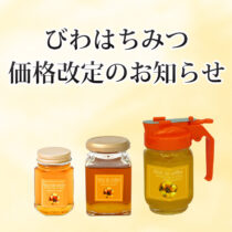 価格改定のお知らせ